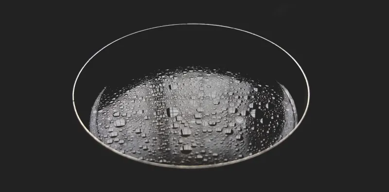 Eat Your Equations: The Culinary Mathematicians Turning Abstract Theory Into Food You Can Actually Taste