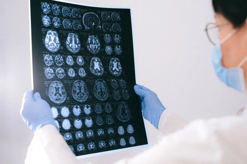 Your Brain on Weird: The Researchers Mapping What Avant-Garde Art Actually Does to You